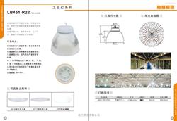 LB451-R22