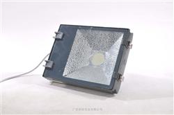 LED隧道灯/LEDTunnel lamp