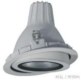 嵌入式金卤灯（SW-J104T）