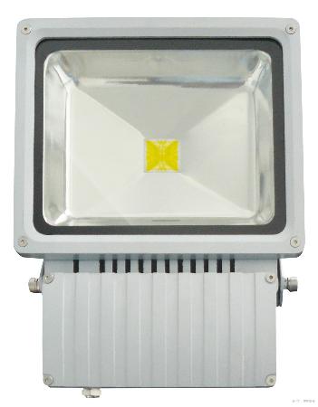 COB LED PROJECTOR LAMP 10W/20W/30W/50W