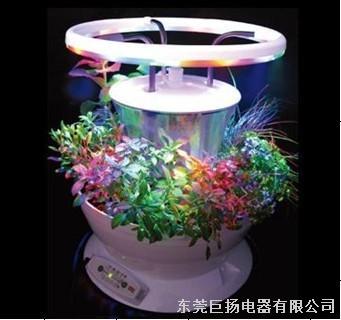 植物灯