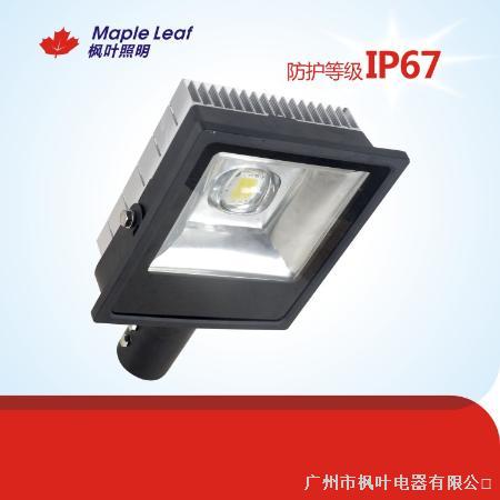 枫叶照明IP67 100W LED 路灯   
