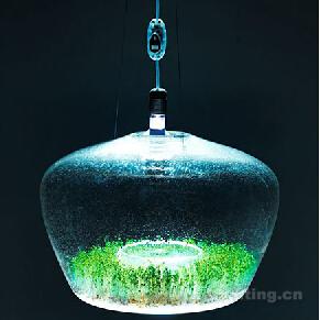 环形灯罩可以栽种植物的吊灯