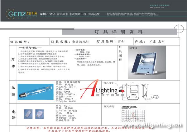 深圳金众蓝钻夜景照明施工与灯具(图二)