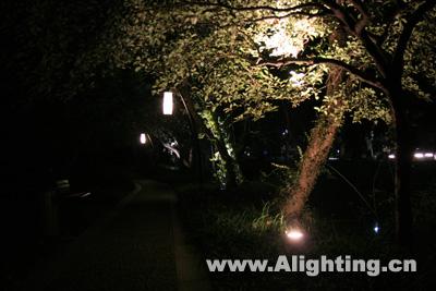 杭州新西湖夜景亮化使用灯具(组图)