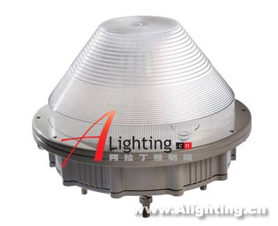 武汉阳逻长江大桥LED照明工程(组图)